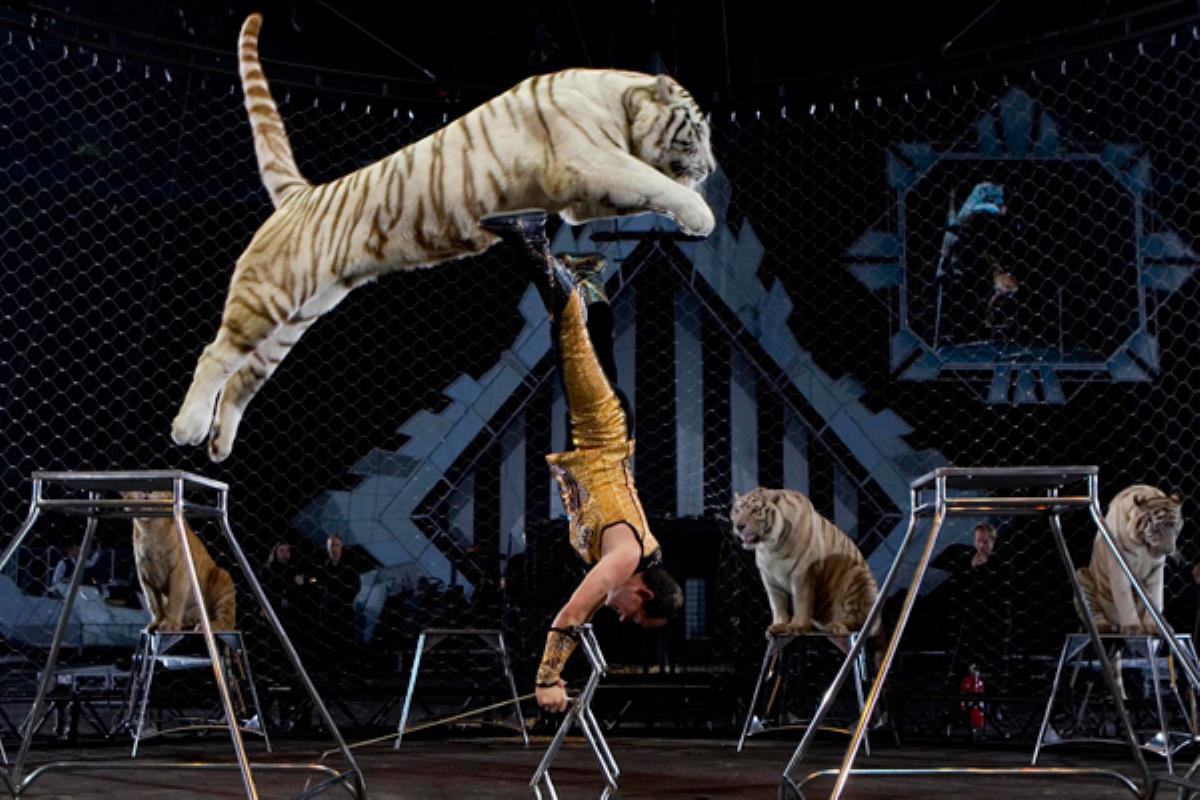  La concejala Beatriz Martínez llevará esta moción al pleno del próximo 23 de diciembre