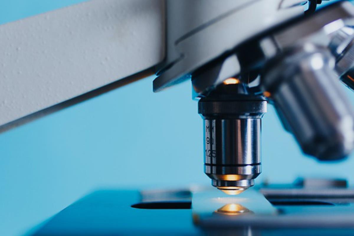 Cuatro empresas se harán cargo del servicio