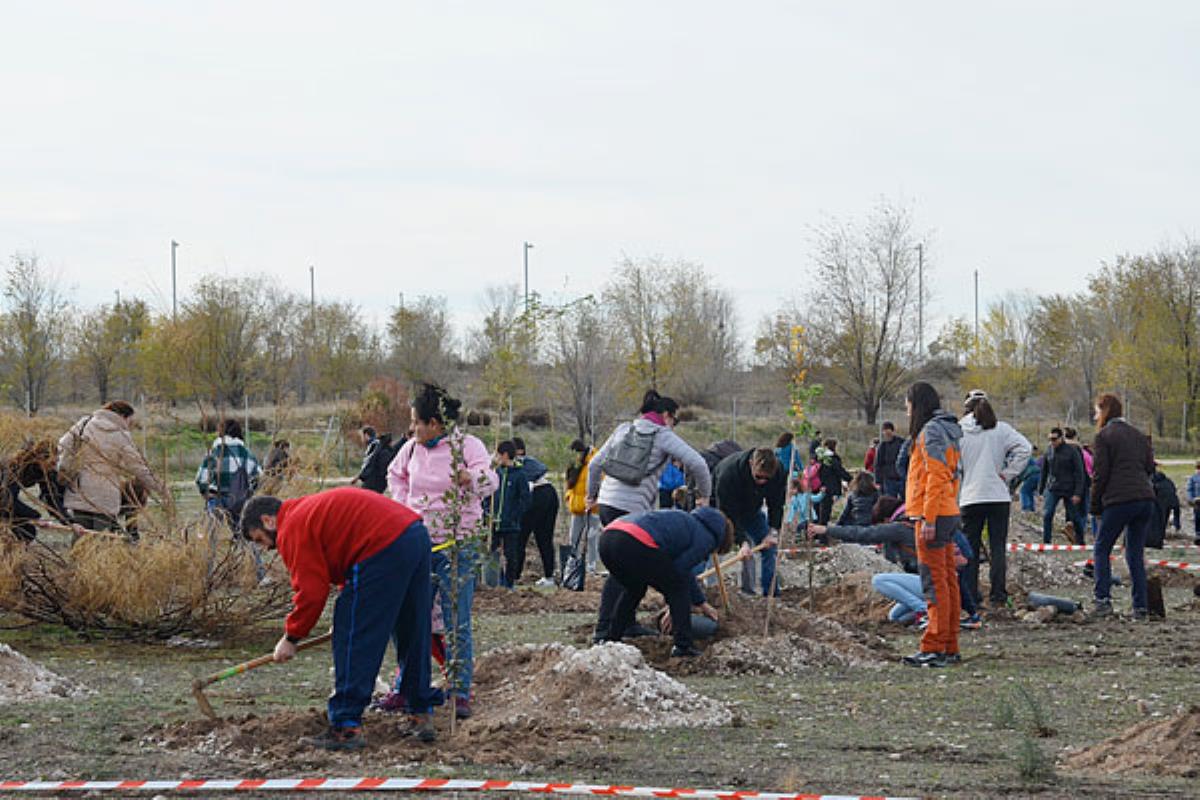 Cientos de vecinos se trasladaron hasta la zona quemada con el objetivo de plantar especies locales