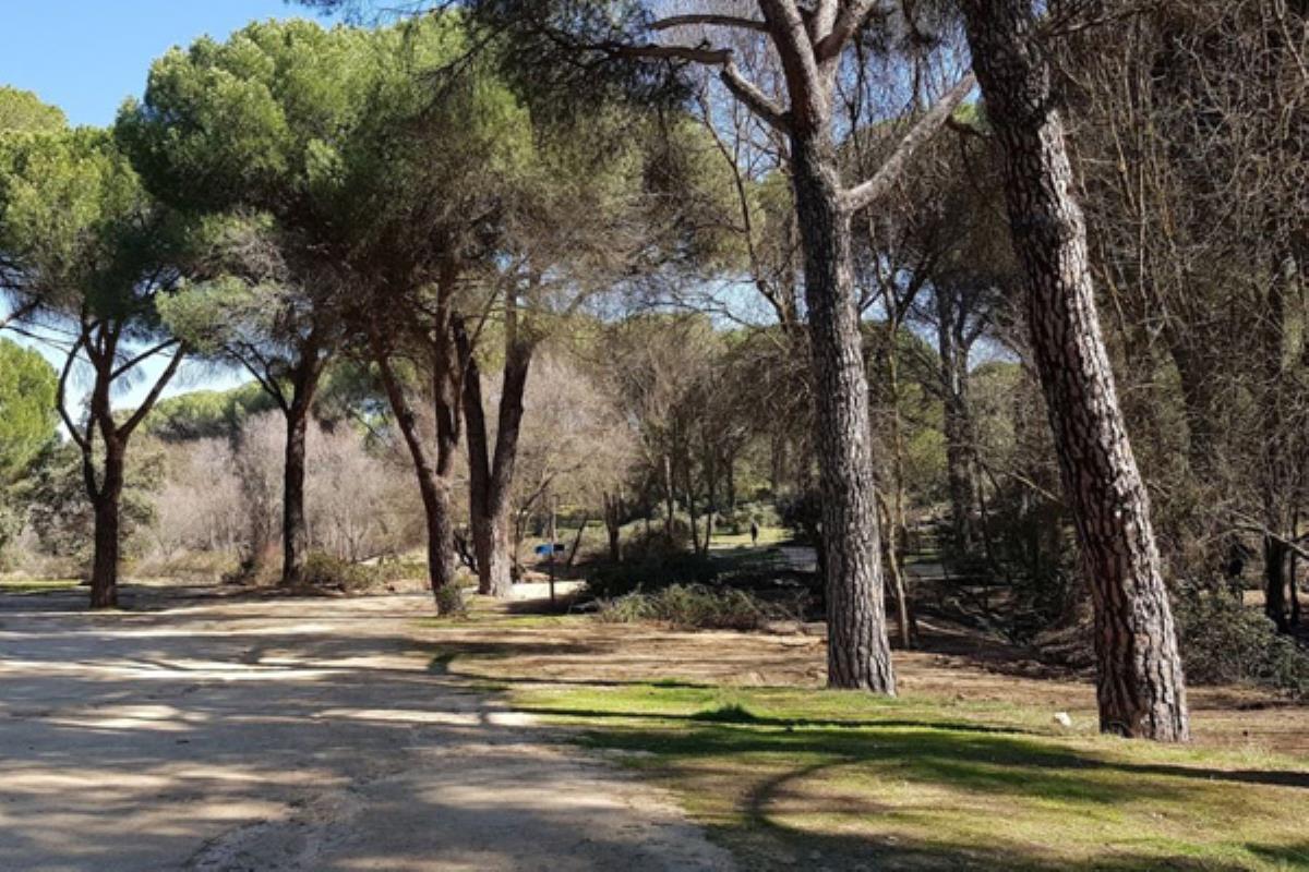 El grupo propone que la gestión de los espacios naturales sea asumida por la concejalía de Medio Ambiente