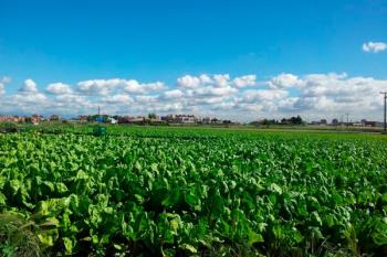 Es una Feria del Ayuntamiento de Madrid para promover la
economía de proximidad y sostenible