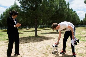 Será una superficie de más de 2.500 metros cuadrados y sustituirá a la ya existente