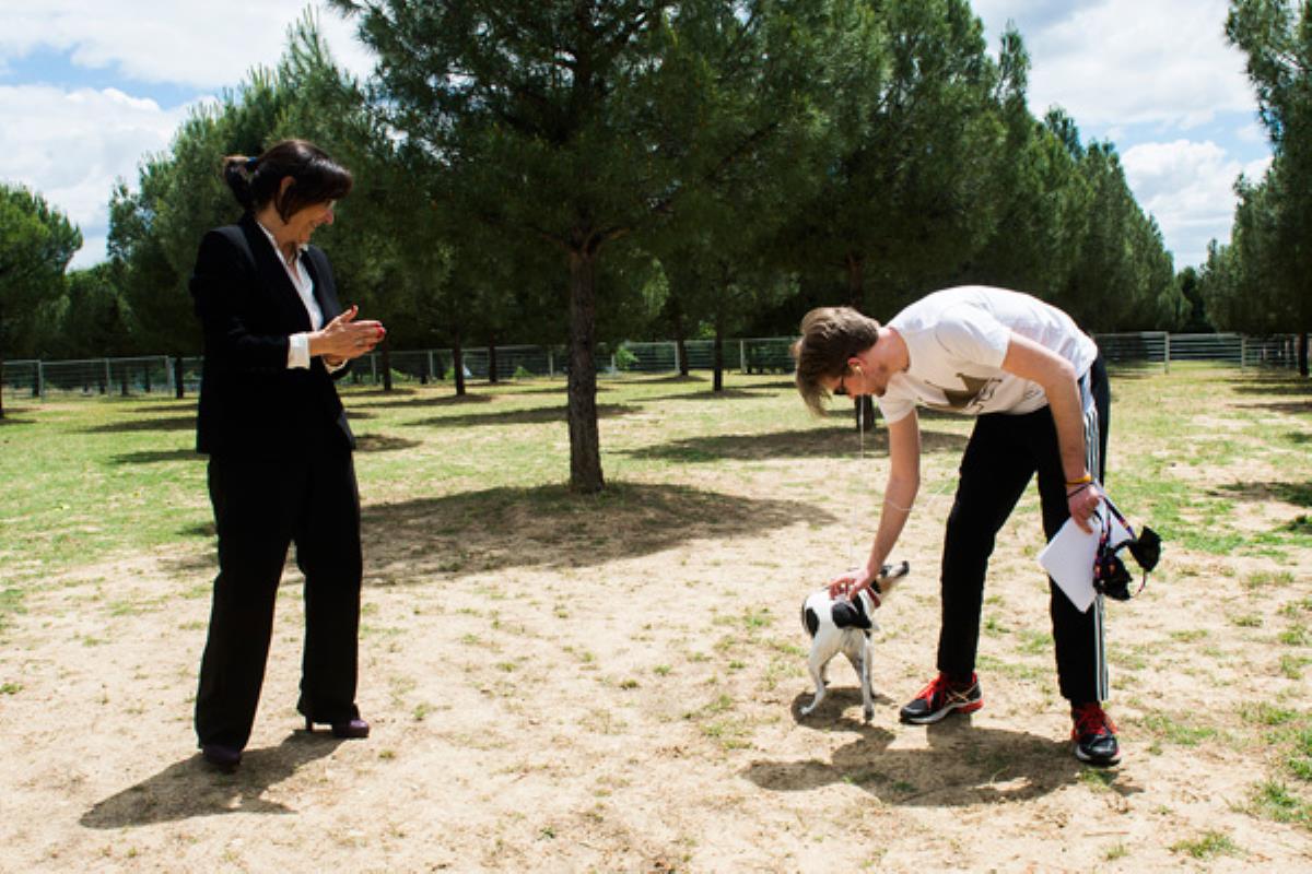 Más de 2.000 metros cuadrados en los que se han invertido un total de 50.000 euros 
