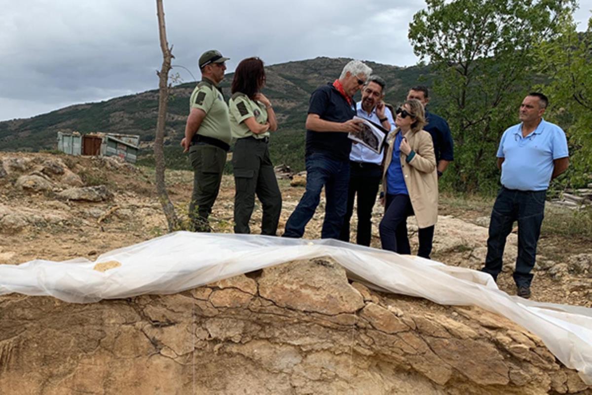 El Director del Museo Arqueológico Regional será reconocido con el galardón el día 2 de diciembre