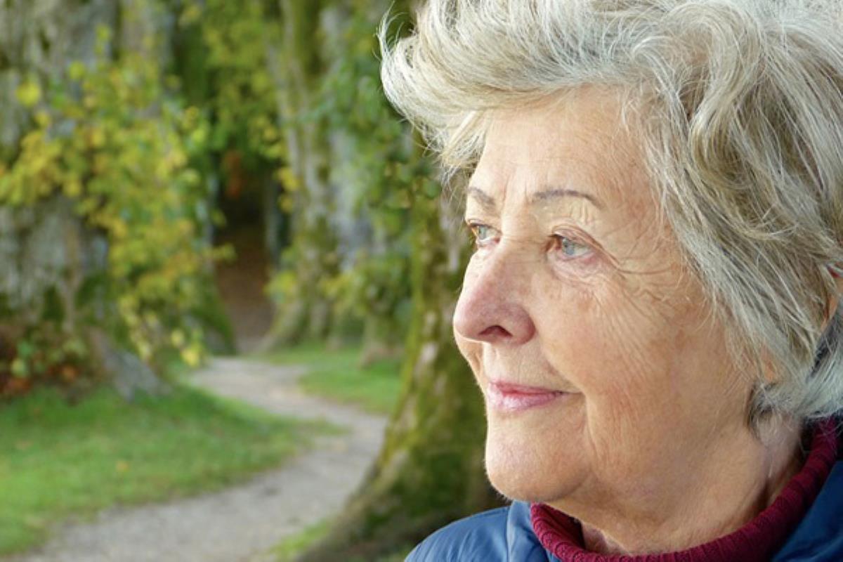 Los mayores de 65 años resientes en la Comunidad de Madrid pueden acogerse al programa