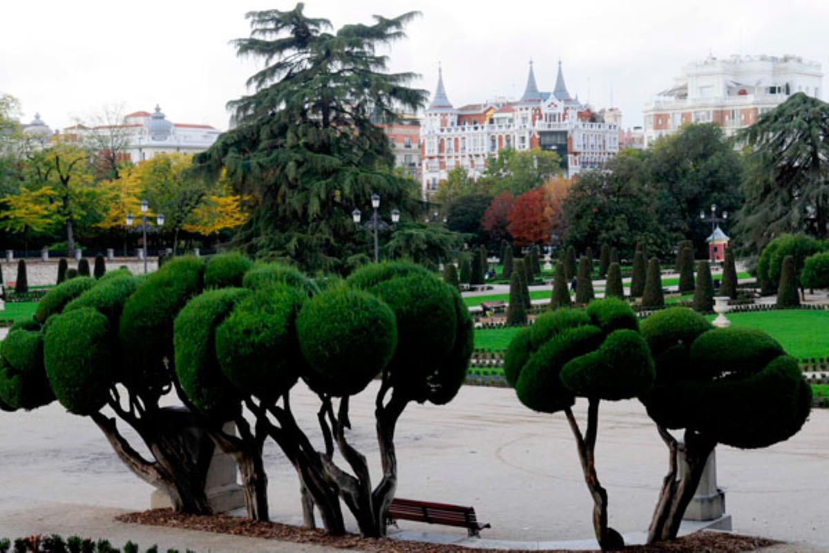 Los jardines sustituirán los bloques ópticos de las farolas para ahorrar energía