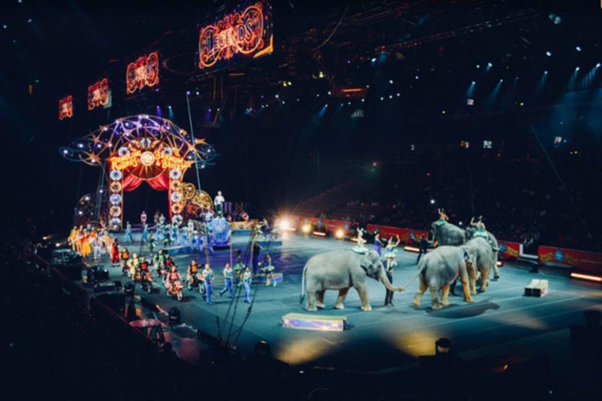 El ayuntamiento lo vuelve a permitir tras cuatro años de prohibición 
