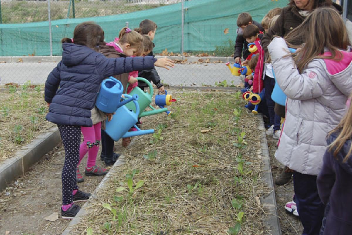 El galardón al mejor proyecto de biodiversidad ha sido entregado por su plan de huertos escolares