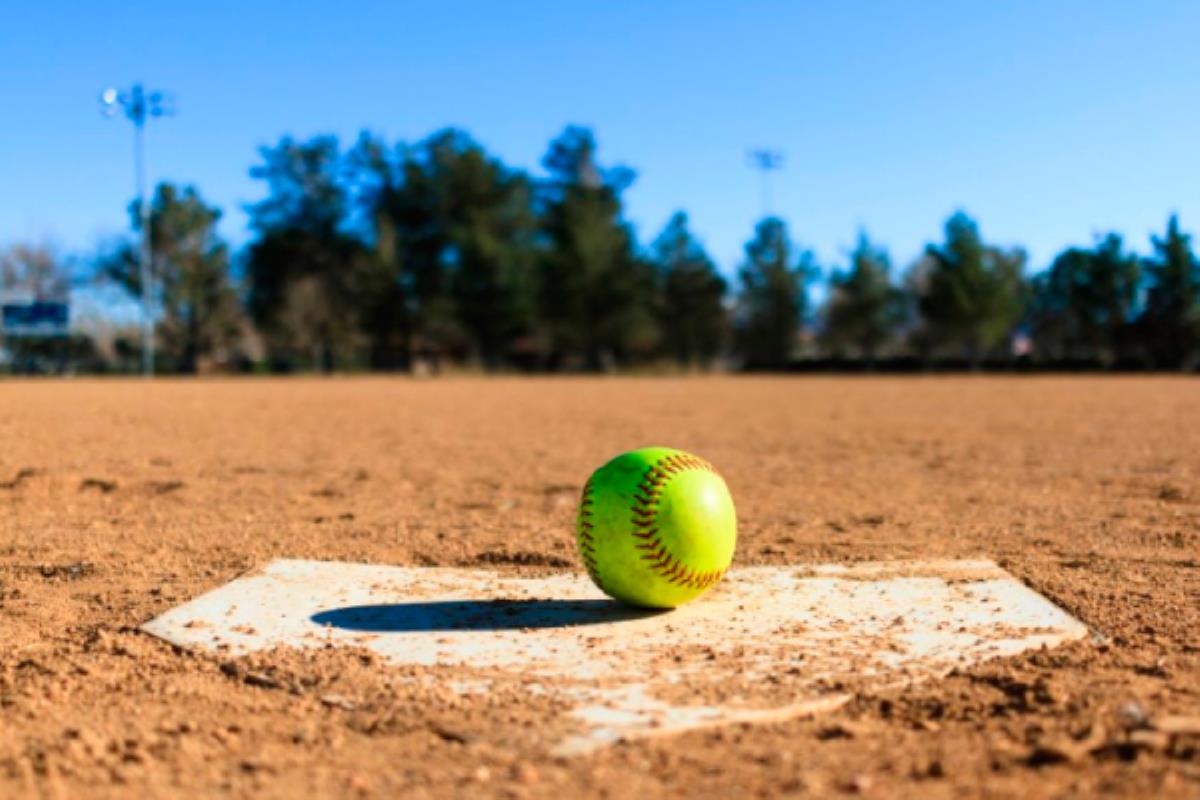 La iniciativa del Gobierno de Alcalá ha sido criticada por el PP por su alto coste, 700.000 euros