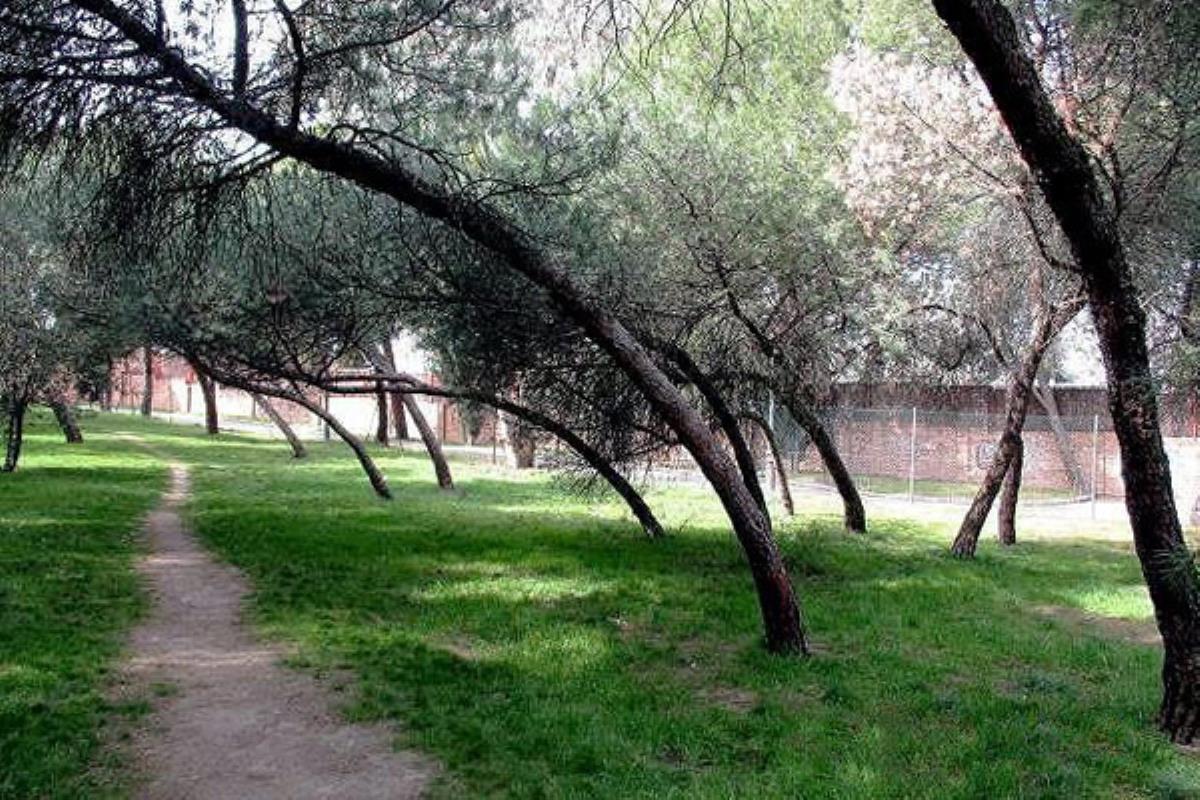 La plantación tendrá lugar en otoño y está destinada a incrementar la biodiversidad