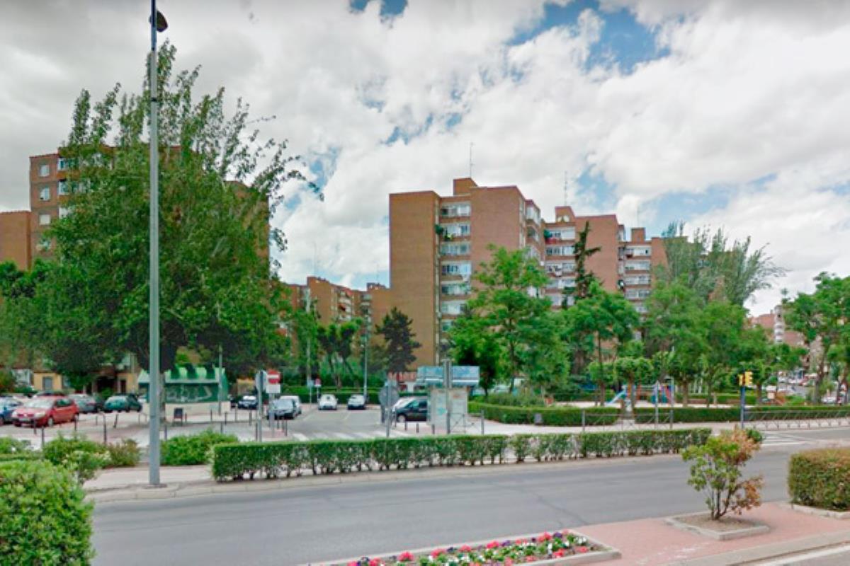 El plan ha permitido tratar a 661 ejemplares y ha supuesto la plantación de 1.700 nuevos árboles para compensar la tala de 566 en mal estado