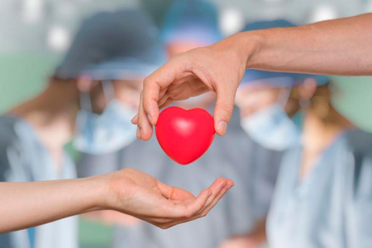 Los profesionales han analizado los resultados de este programa y han fijado nuevos retos