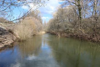 Los productos, que han invadido las orillas del río, proceden de la depuradora de Coslada