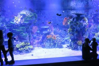 Parques Reunidos abre el primer acuario interactivo de Europa el Centro Comercial intu Xanadú