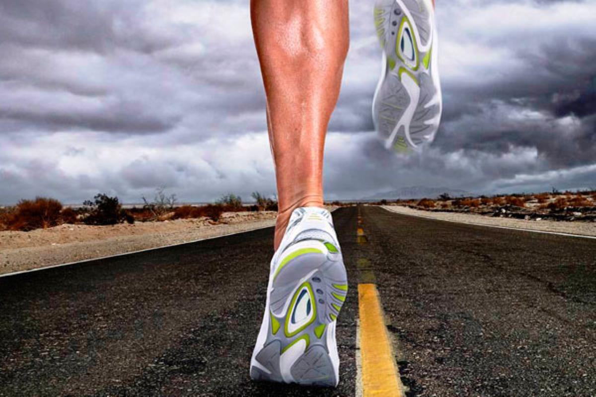 Para participar, en el momento de la salida, se realizará una aportación de 1 kilo de alimentos no perecederos