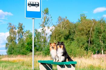 El patio de la Casa Tapón vuelve a convertirse en en punto de encuentro solidario este fin de semana