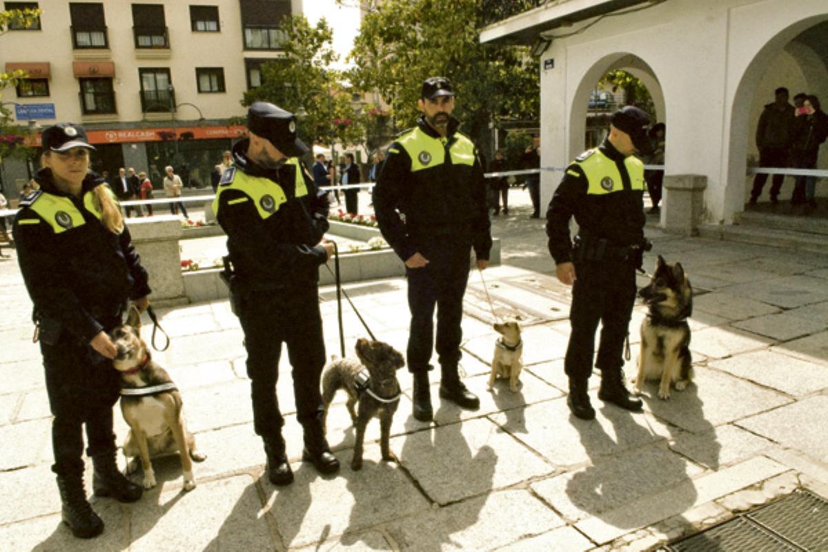 La Policía Local de Majadahonda crea una unidad canina para detectar la posesión de drogas en su municipio