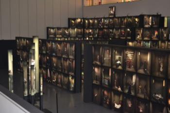 La exposición 365º recoge fotografías para cada día del año tomadas en los últimos ocho años