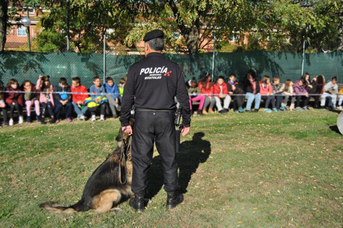 Los protagonistas de las exhibiciones son los perros de la unidad canina de la Policía de Móstoles