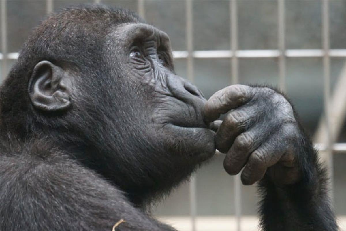 ¿Crees que alguien está jugando con las leyes de la naturaleza?