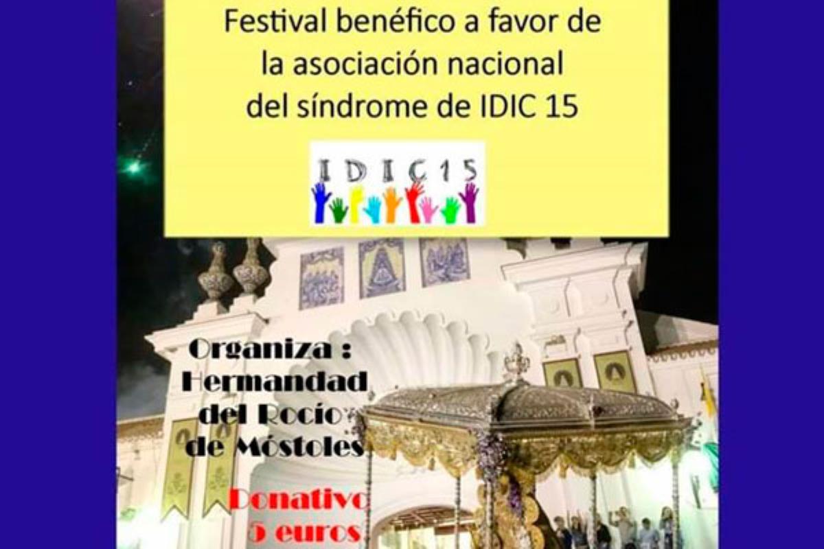 Tendrá lugar el sábado 17 de noviembre a cargo de la Hermandad del Rocío de Móstoles