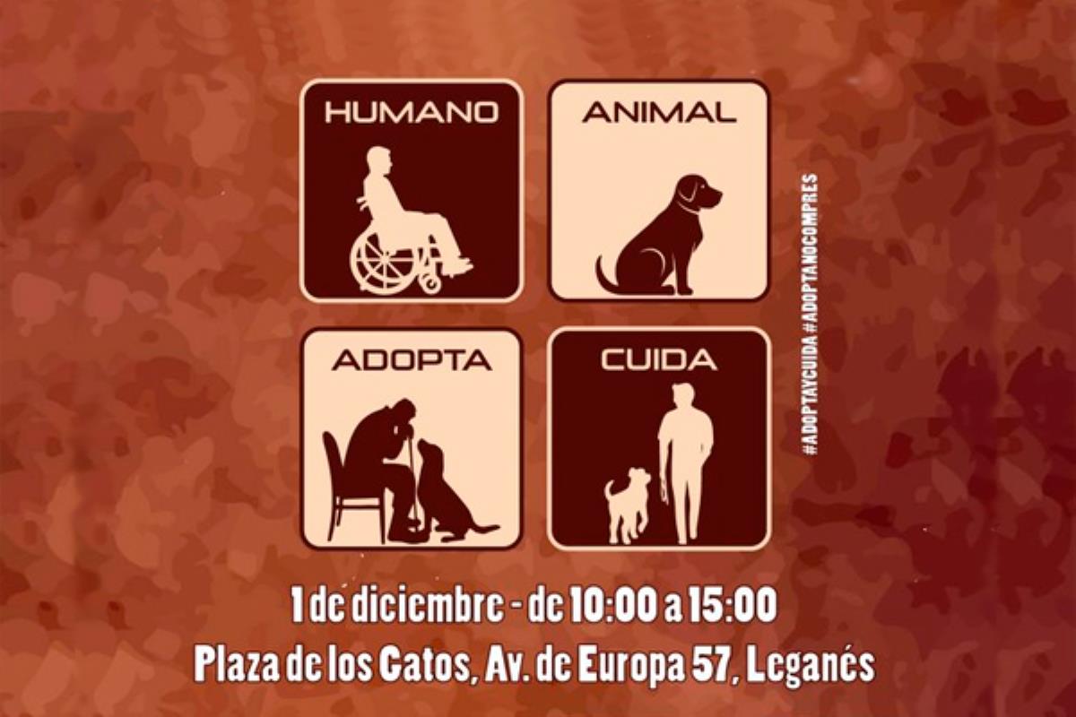 El próximo día 1 de diciembre, se celebra este festival en el que participarán importantes asociaciones