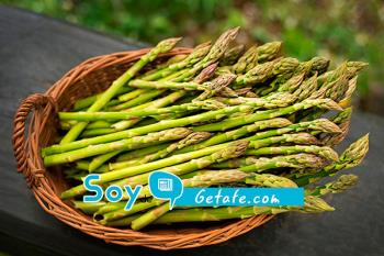 El próximo sábado, vuelve la XXIII Fiesta del Espárrago de Getafe