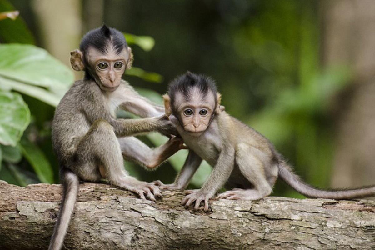Disfruta de descuentos especiales los días 12 y 13 de octubre