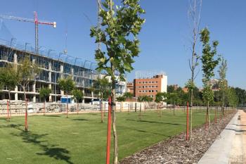 El nuevo espacio, que se ejecutará en la subestación eléctrica El Pilar, traerá consigo una zona verde, una red de riego y alumbrado público, y mobiliario urbano
