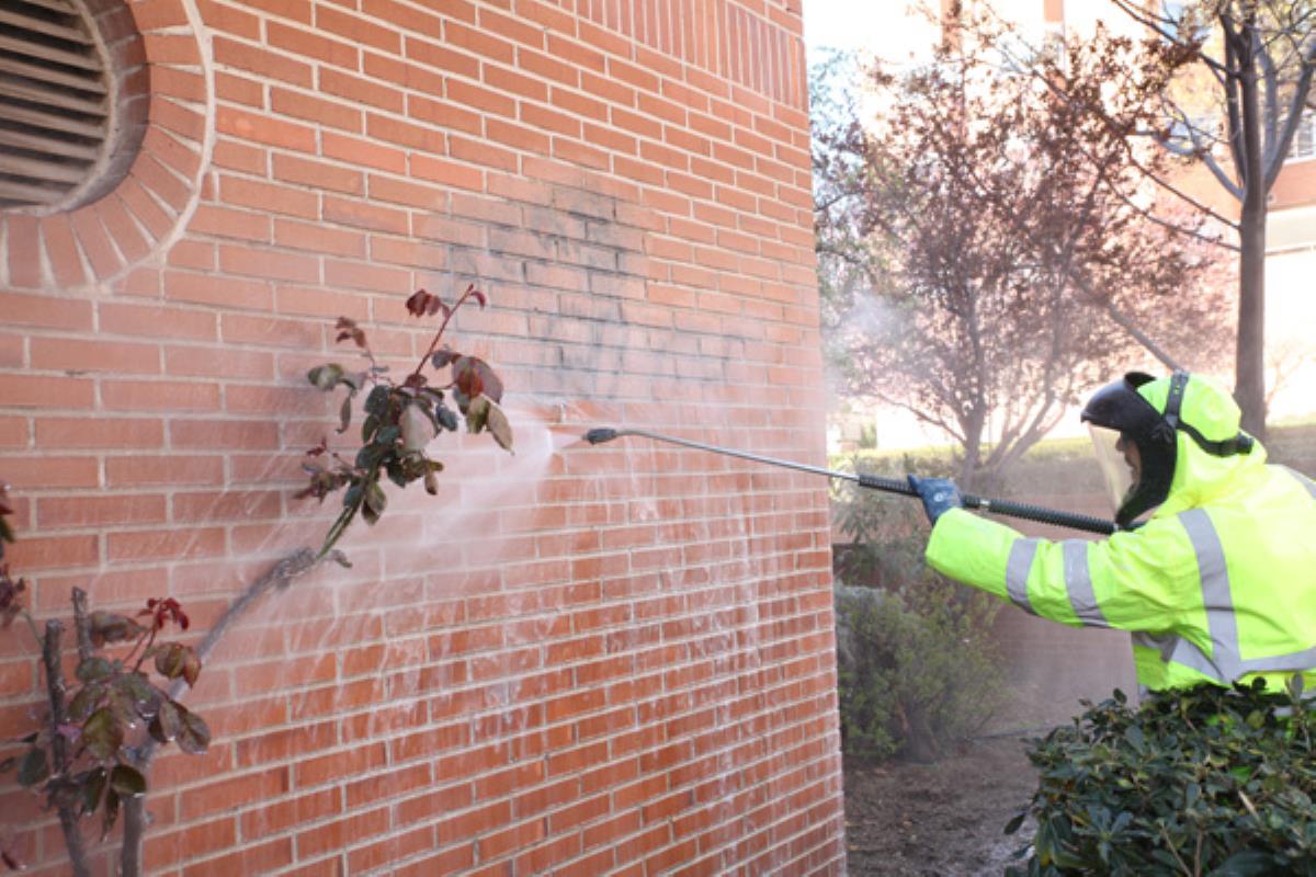 Este galardón ha sido otorgado por su programa de eliminación de pinturas 'Borra el Odio'