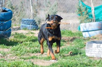 Es una campaña coordinada por la Asociación Juvenil Sociocultural ¡Eureka! Sur