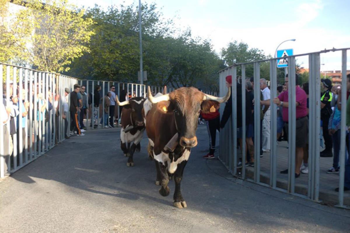 El consistorio fuenlabreño defiende haber empleado "todos los medios de seguridad y prevención que exige la ley"