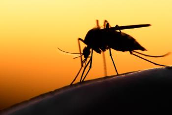 El municipio ha doblado los tratamientos contra los mosquitos en Perales del Río