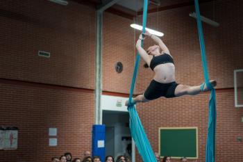 Lee toda la noticia '"El circo también es arte y es una forma de consumir ocio maravillosa"'