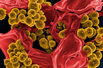 Lee toda la noticia 'Hallan una posible solución contra las bacterias multirresistentes'