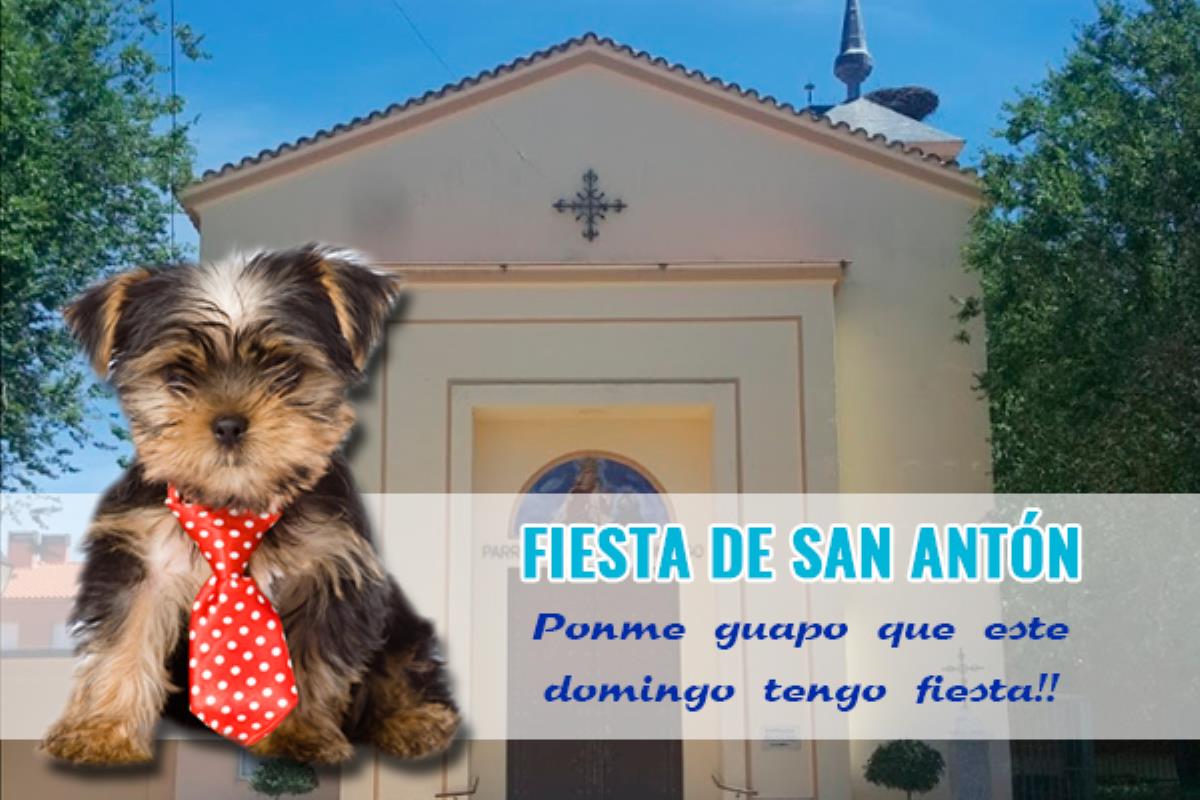 El 17 de enero se celebra en nuestro municipio San Antonio Abad, patrón de los animales