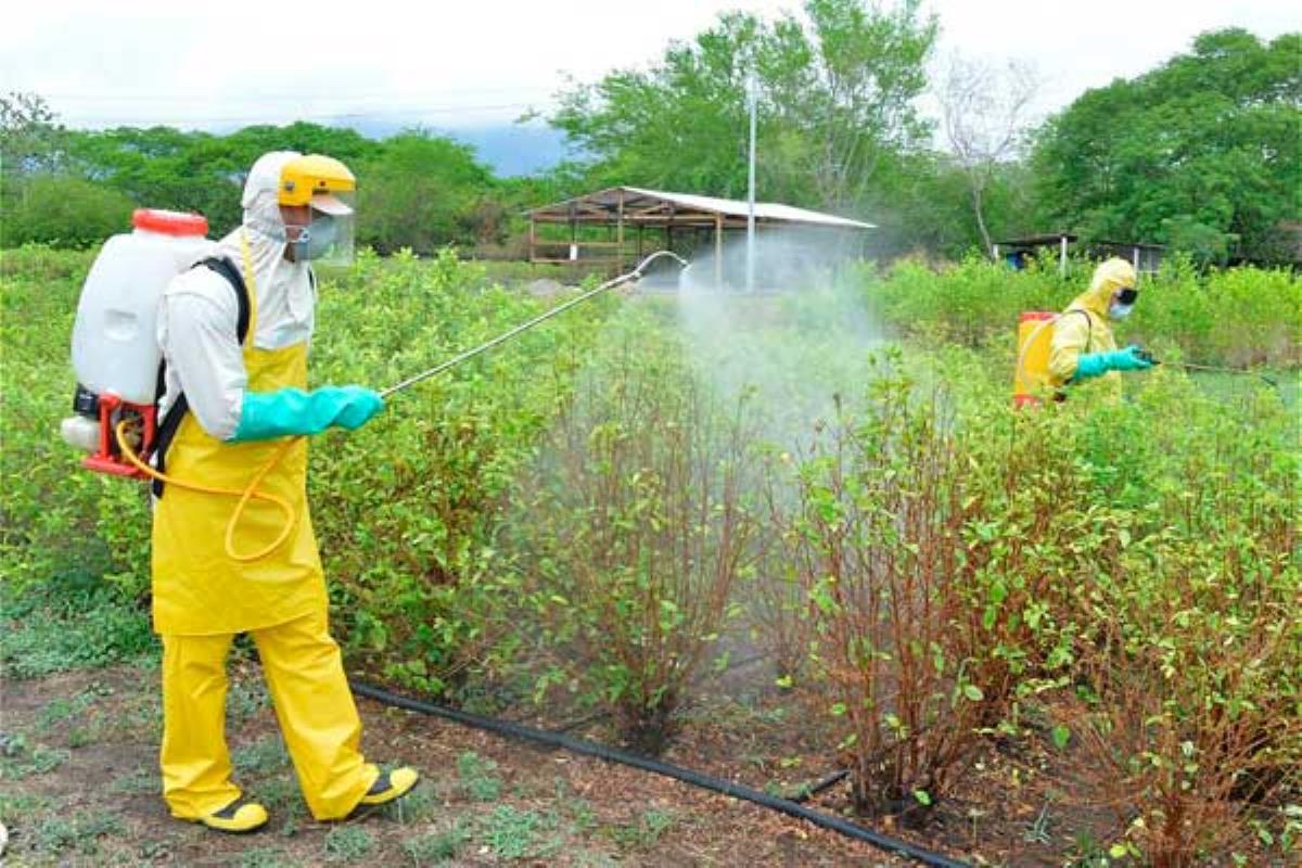 La concejala Beatriz Martínez propondrá al Pleno que Boadilla sea un municipio libre de este peligroso herbicida