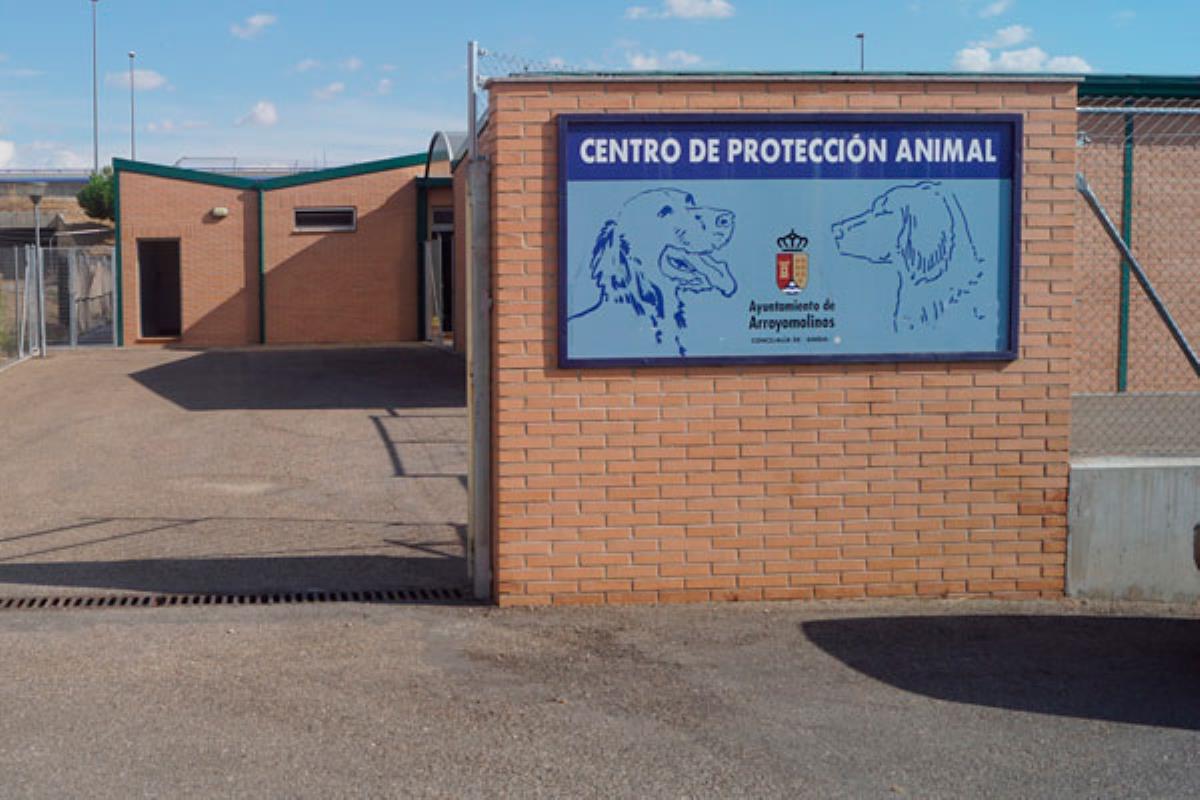 Ubicado en la Calle Benicarló, abrirá sus puertas el próximo 10 de septiembre