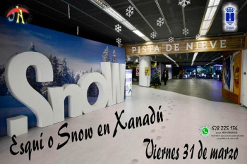 El precio incluye transporte de ida y vuelta