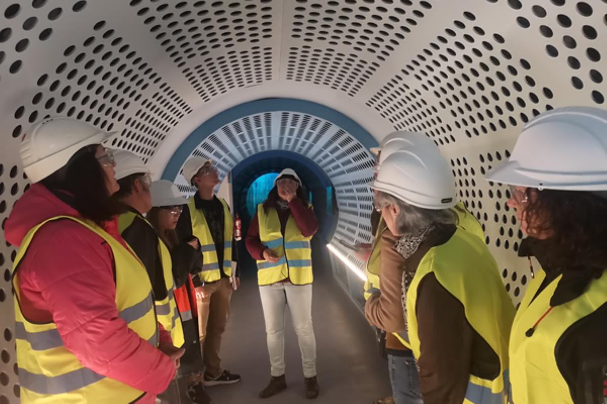 El proyecto volverá a desarrollarse en 2020, dirigido a personas desempleadas de Andalucía, Madrid y Castilla-La Mancha