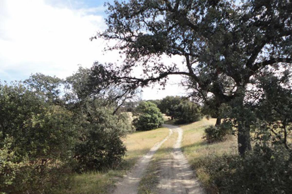 La Justicia ha dado la razón a la familia en el caso de la titularidad de la finca