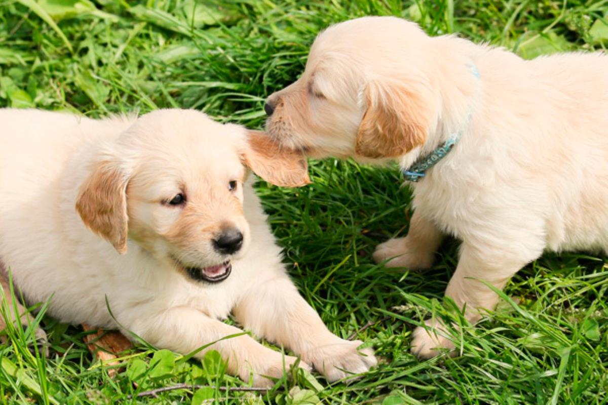  Fuenlabrada lamenta esta decisión porque perjudica a la ciudadanía.