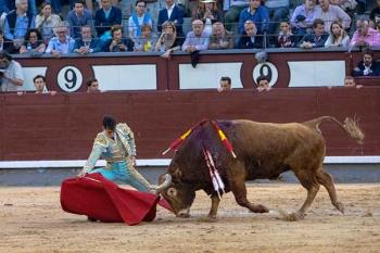 El Centro de Asuntos Taurinos otorgará ayudas a los ayuntamientos para celebrar novilladas de promoción 