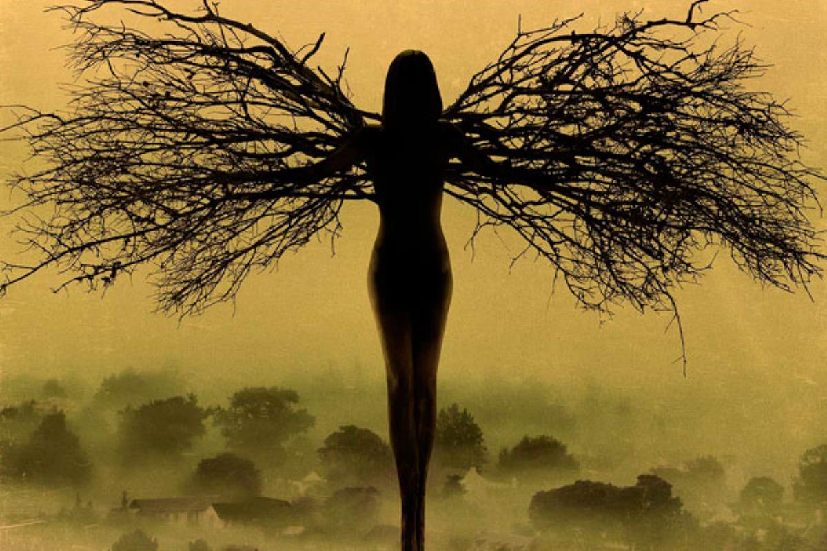 Este fin de semana actuarán en el Teatro Cervantes de Alcalá con su obra "El coleccionista de mariposas"