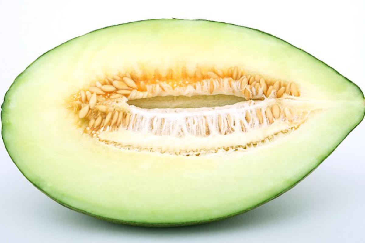 Esta edición de la Meloncleta se celebra el 7 de septiembre