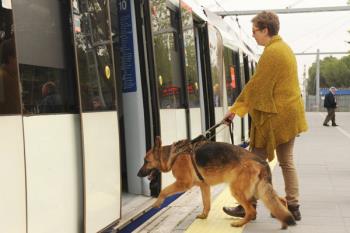 La Organización ha lanzado una campaña para que los madrileños adopten por un tiempo a los que serán futuros perros guías.

