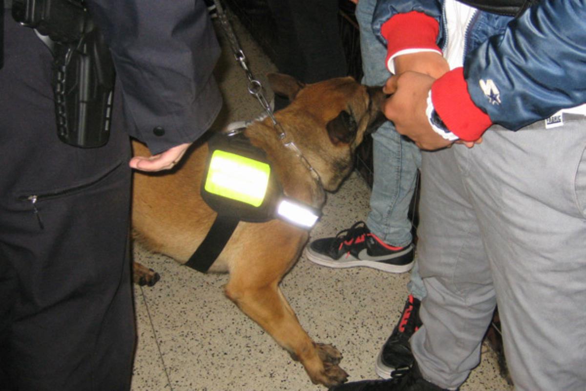 Las actuaciones se han producido en coordinación con Alcobendas y la Policía Nacional
