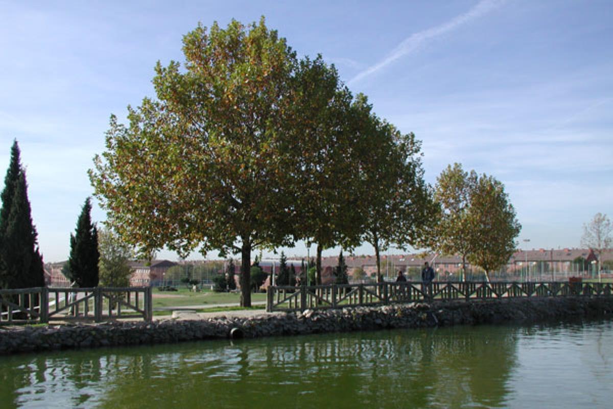 El fin de semana, cinco parques de la ciudad se cerraron al público debido a las previsiones meteorológicas