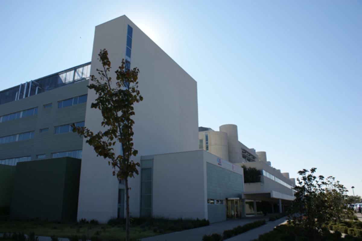 Colabora la ONG Policías sin Fronteras