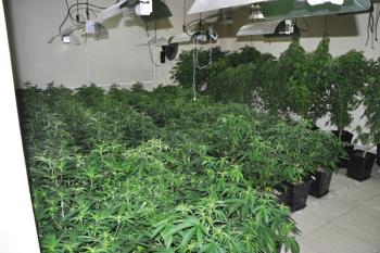 La colaboración ciudadana ha sido esencial para la operación